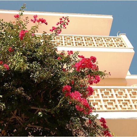 Casa De La Vida Hostel Santanyí Εξωτερικό φωτογραφία